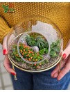 "Miniatūrinis pasaulis"