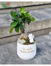 Bonsai su angeliuku ir užrašu ant vazono „Su meile, Krikšto tėveliams“
