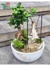 Gyvų augalų kompozicija „Mylėk, Svajok, Gyvenk...“ su supynėmis ir bonsai medeliu