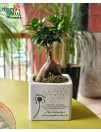 Bonsai "Ačiū Mokytojui"
