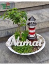 Augalų kompozicija "Namai"
