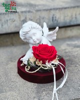 "Angelas Tau"