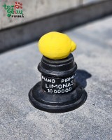 "Mano pirmasis limonas"
