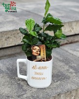 Puodelis ir kavamedis buhalterei