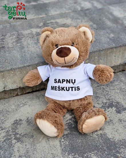 Pliušinis meškiukas