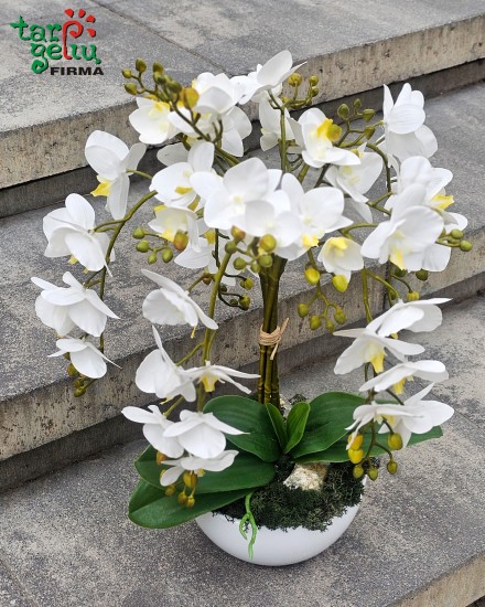 Dirbtinių orchidėjų kompozicija