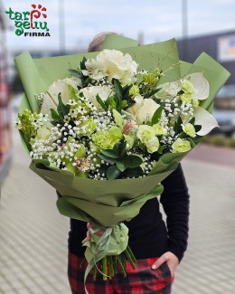 "Зелёная гармония"