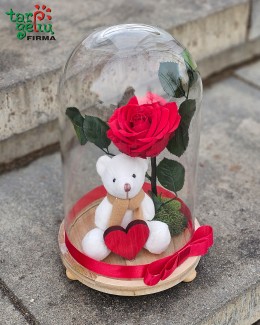 Роза моего сердца