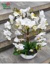 Dirbtinių orchidėjų kompozicija 