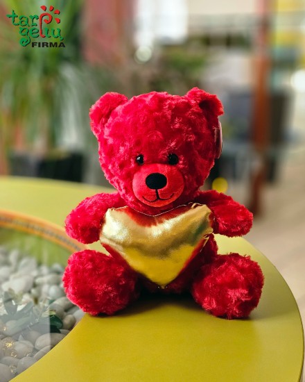 Pliušinis meškiukas 