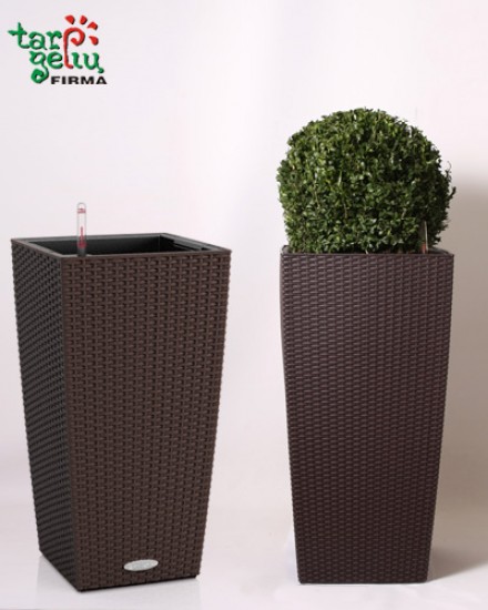 Planter CUBICO Cottage & Buxus