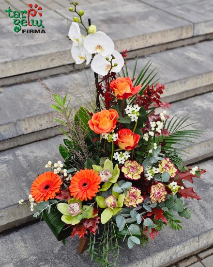 Composition FIELD DAY