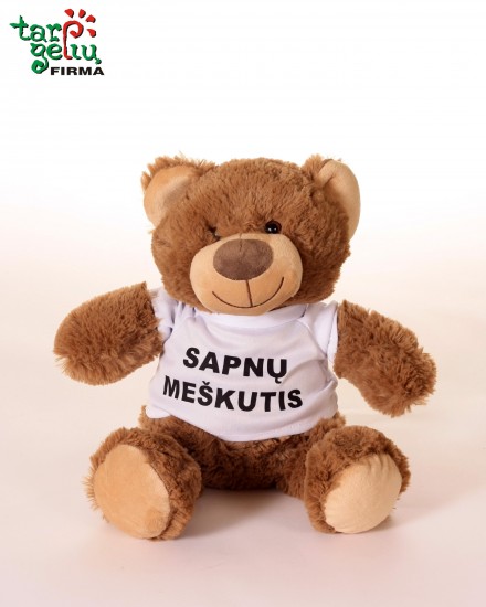 Pliušinis meškiukas 