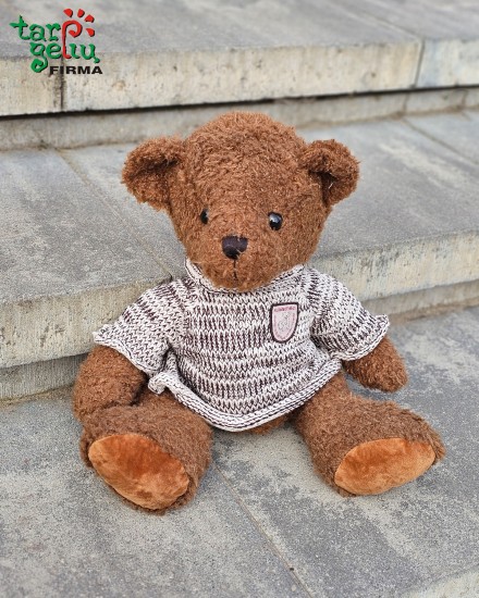 Lovely Teddy bear