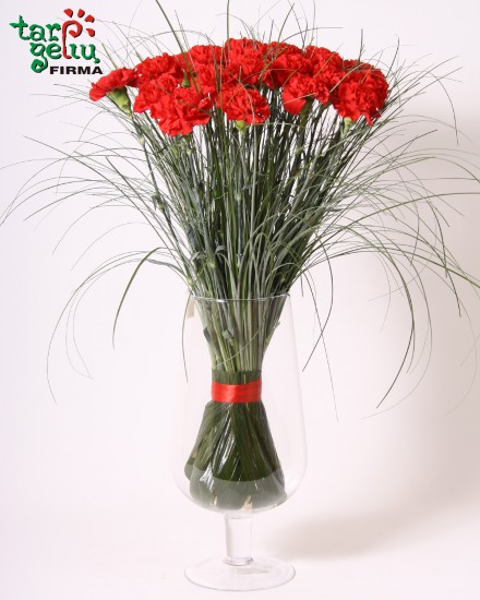 Bouquet of red carnations