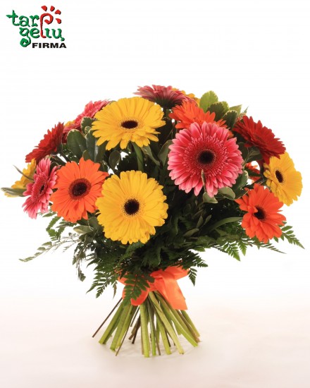 Colorful bouquet of gerbera