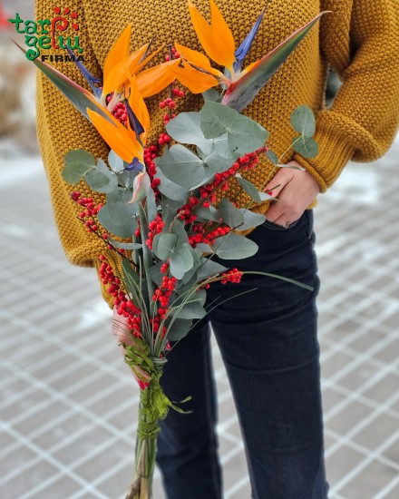 Bouquet BIRD OF PARADISE