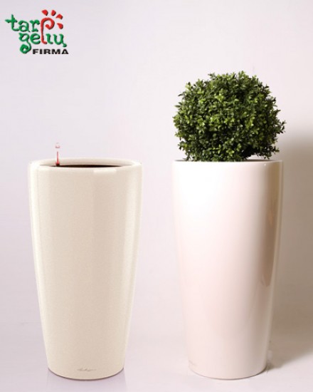 Planter RONDO & Buxus