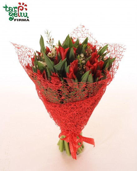 Bouquet of red tulips
