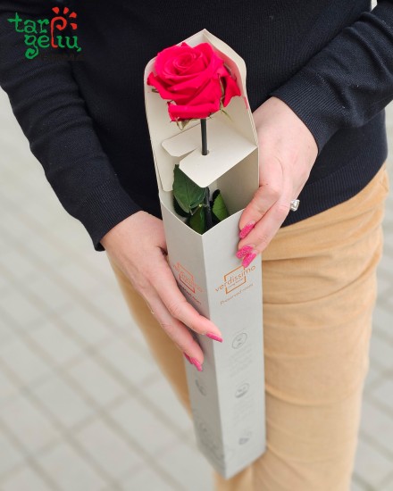 Natural Preserved ROSE blossom