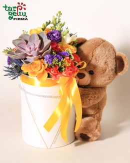 Flower box & Teddy Bear