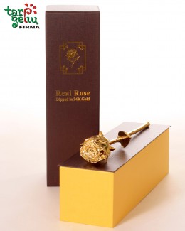 Golden Rose