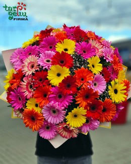 "Burst of Colors"