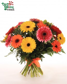 Colorful Bouquet of Gerbera