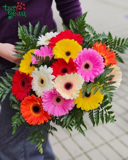 Colorful Bouquet of Gerbera