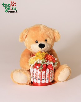 Gift "Teddy Bear Cake"