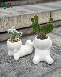Plant in a pot "Smile"