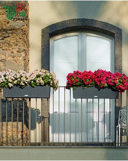 BALCONERA Cottage