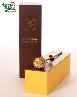 Golden Rose