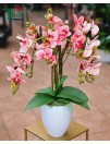 Dirbtinių orchidėjų kompozicija "Pink"