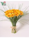 Bouquet of Yellow Gerbera