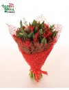 Bouquet of Red Tulips