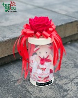 Sweet gift  "Valentine's Day"